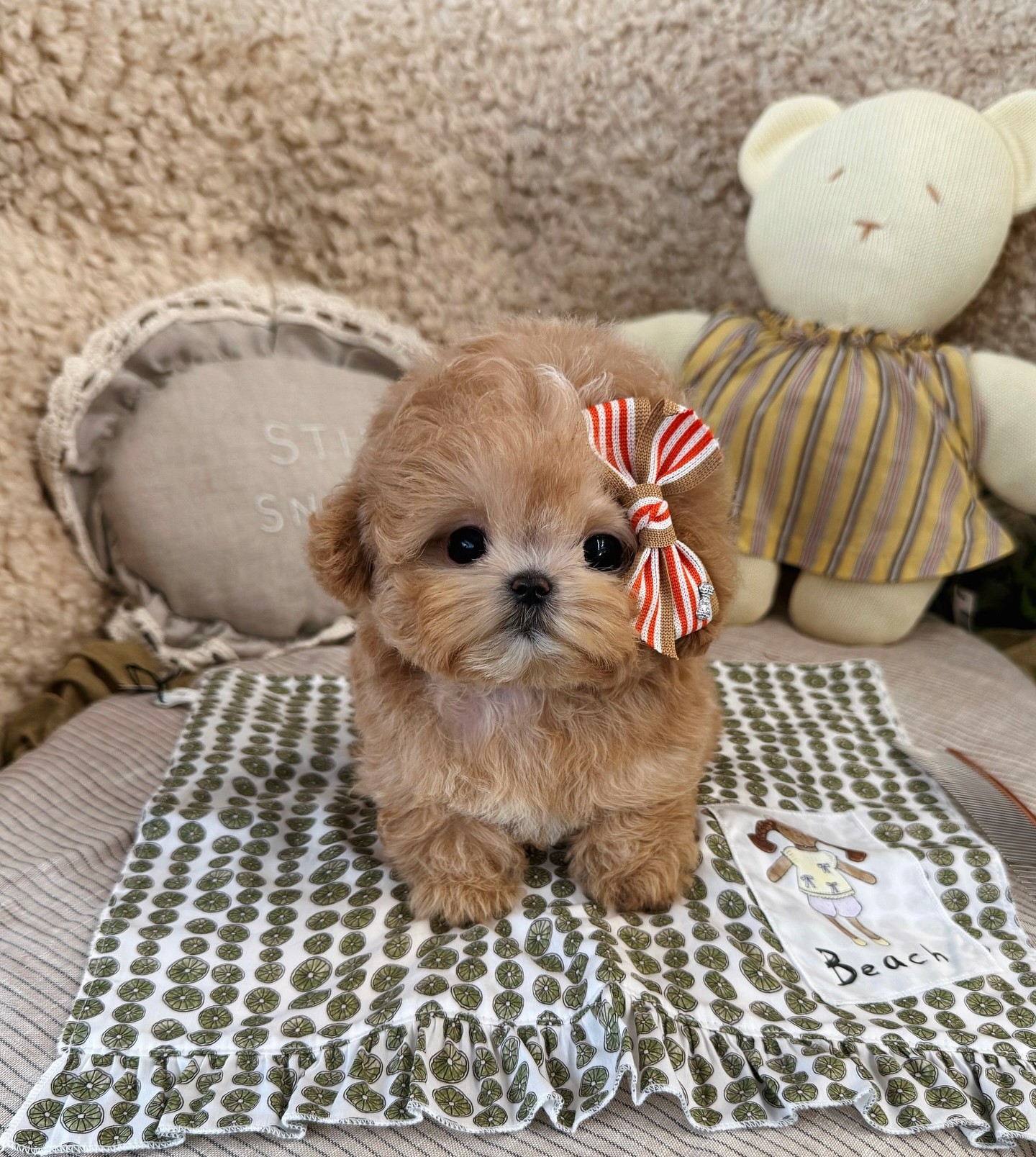 Mimi - Image 2